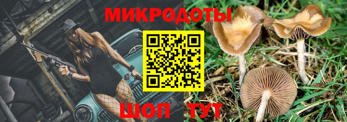 Галлюциногенные грибы Psilocybine cubensis Новошахтинск