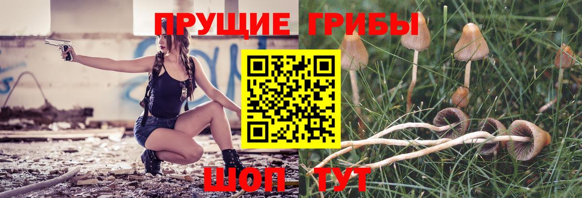 Новошахтинск  Галлюциногенные грибы ЛСД  Вход с VPN  Псилоцибиновые грибы прущие грибы 
